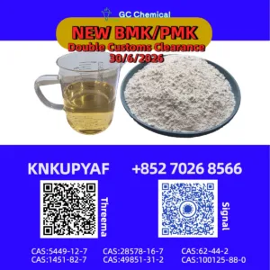 Integrated logistics CAS 28578-16-7 paired BM.K 5449-12-7