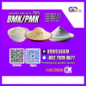 BMK/PMK CAS:28578-16-7//CAS:5449-12-- Extraction rate up to 70%