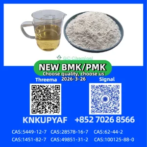 Premium Grade PM.K CAS 28578-16-7| Factory Direct Wholesale