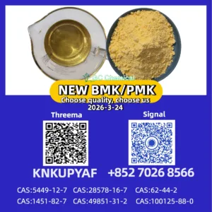 CAS 28578-16-7 New P.MK/ B.M.K Powder CAS 5449-12-7 | High Quality