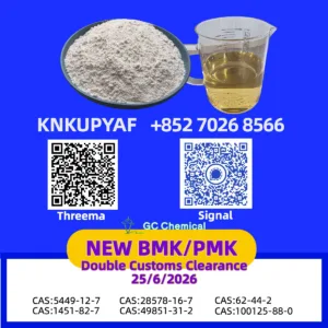 CAS 28578-16-7 PMK Organic Ethyl Glycidate Material