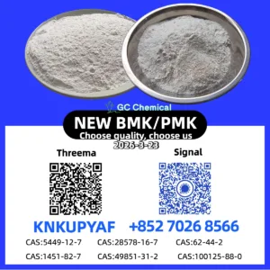 Immediate Shipment 28578-16-7 P.M.K CAS 5449-12-7 New B.M.K