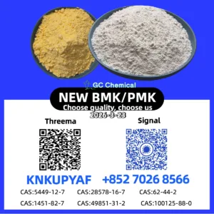 Stock Supply 28578-16-7 P.M.K B.M.K CAS 5449-12-7 New Powder/Oil