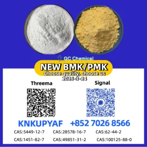 High Grade P M K Oil (CAS 28578-16-7) | Manufacturer Price