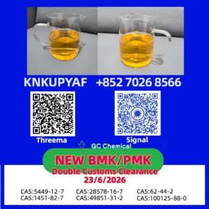 PMK CAS 28578-16-7 Priority Dispatch Access