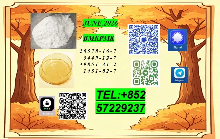 37 Bulk 37 10 Wholesale Supplies