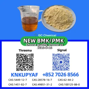 PM.K CAS 28578-16-7 Manufacturer | Bulk Supply & Competitive Price