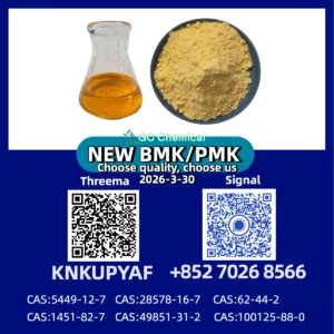 High Purity Compounds PM.K 28578-16-7 with BM.K CAS 5449-12-7
