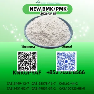 CAS 5449-12-7 BMK Powder Factory Supply 28578-16-7