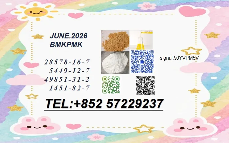 81 Bulk 81 4 Wholesale Supplies