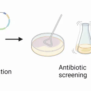 Antibiotic Residue Detection