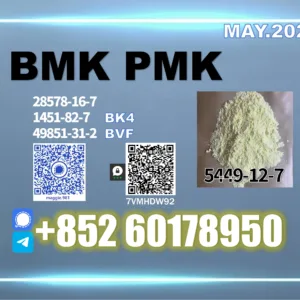 BMK CAS 5449-12-7new Mass stock