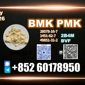 New BMK CAS 5449-12-7 Long-term Vendor