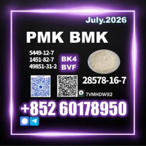 New PMK CAS 28578-16-7 Quality-focused