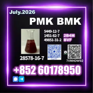 New PMK CAS 28578-16-7 fast shipment
