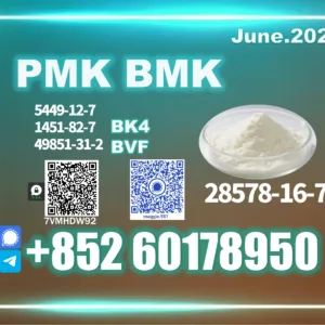 New PMK CAS 28578-16-7 Quality-focused