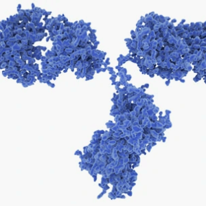 antibodies