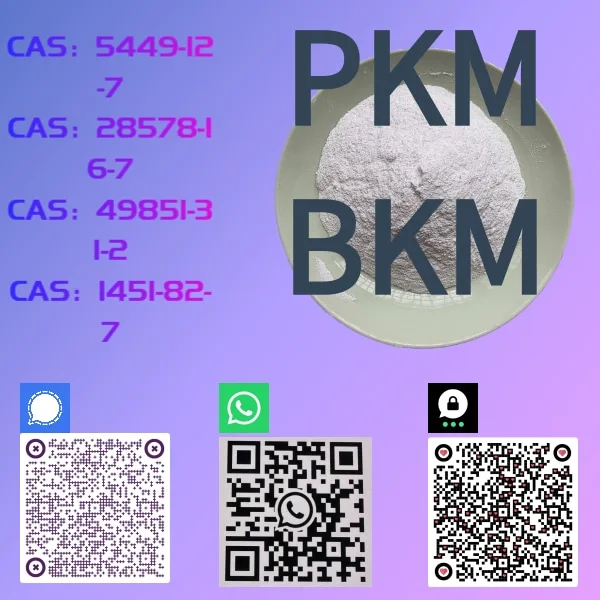 绿色植物家居简约二维码 (1) NEW PKM BKM
